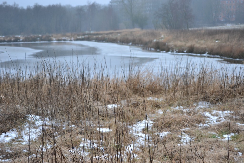 © Alexandra Claessens, 2016 Zeit für den Abschied aus Dänemark - DSC 0406 1024x683