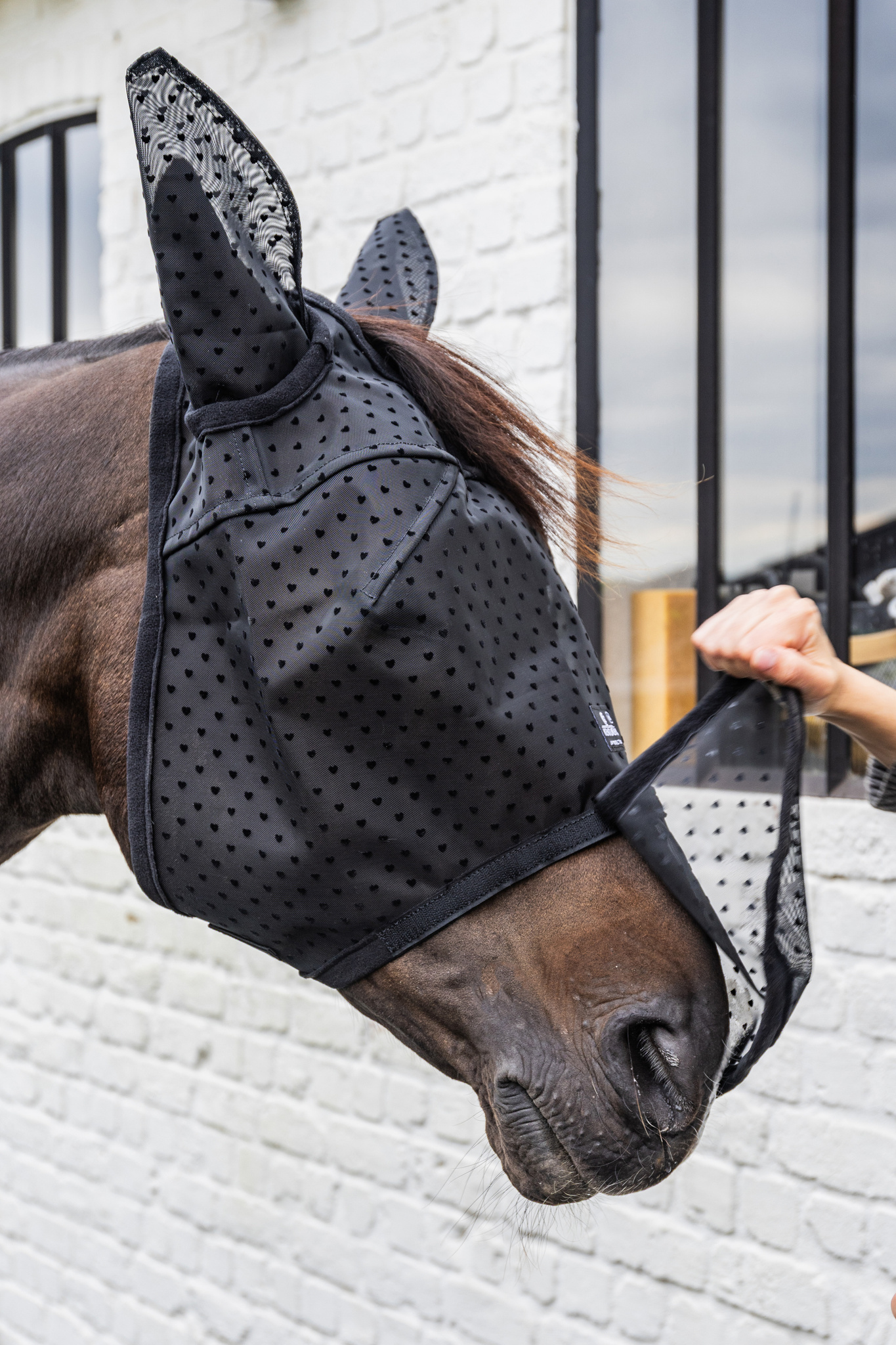 0f5e57450772c8668a7817c124d60f4eec3587b2b8735eaab1b1a1448cfe1e39