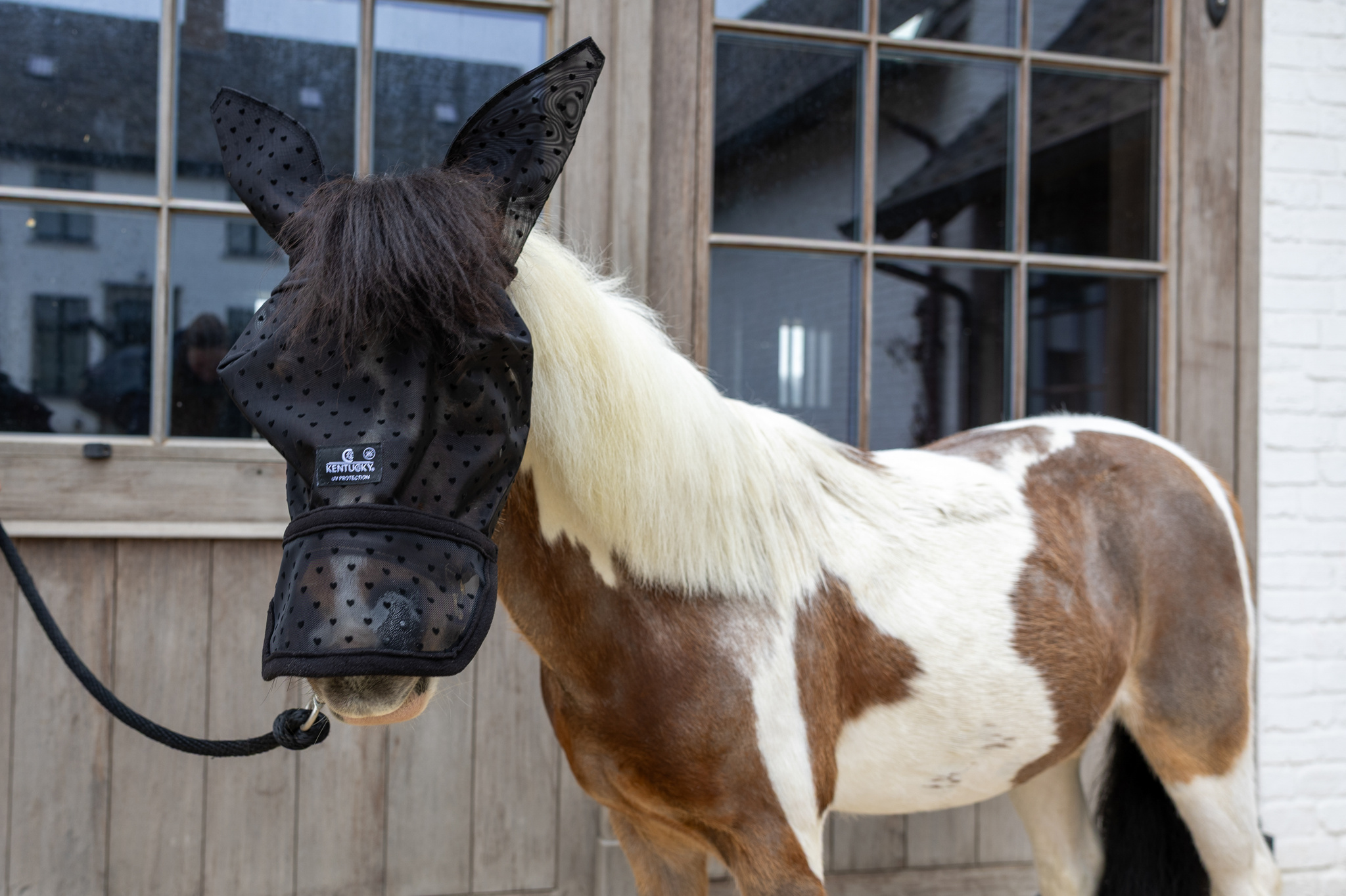 2699286bda7a40ea42e54c49cbfcd5311a31cff4faff1f2d19ea8a434c315f9b