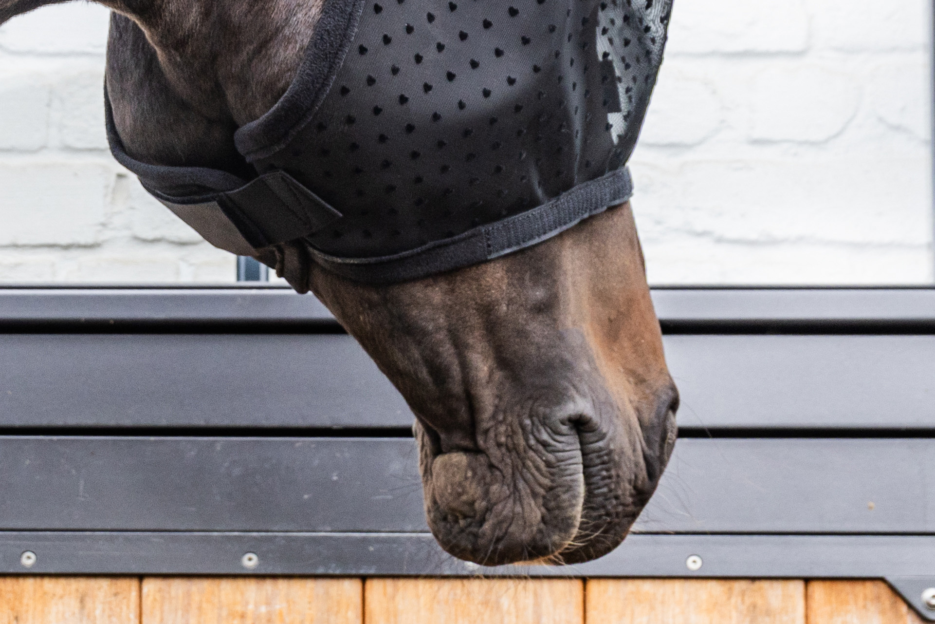 45a7f561b707c812ee2c33188126819d03e01c9804a520ad21f6157dd51d6dd5