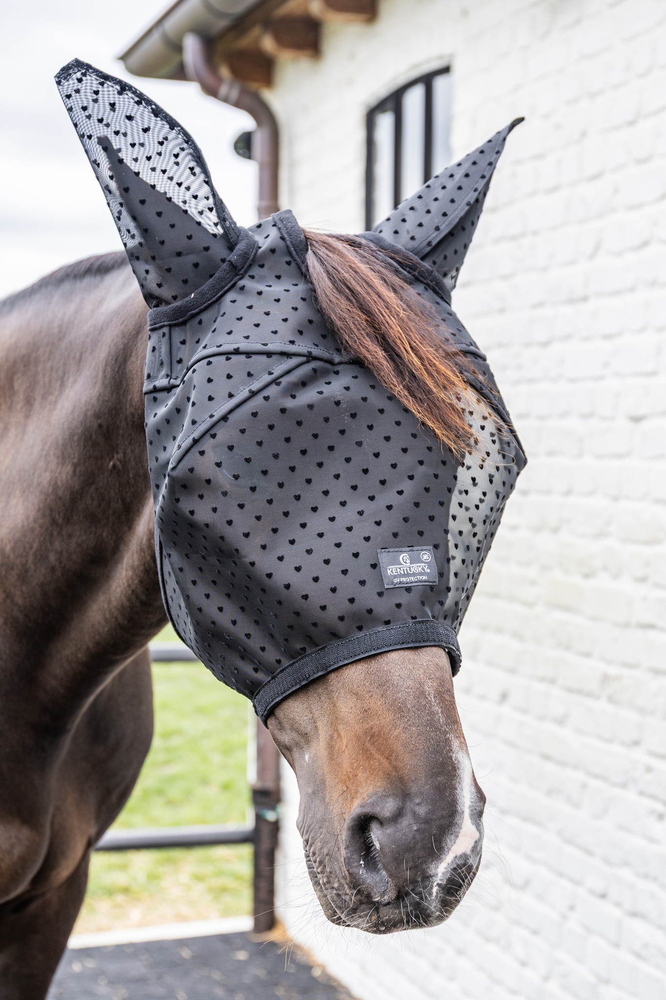 45a7f561b707c812ee2c33188126819d168ed680c7dff9aad83e84332b462907