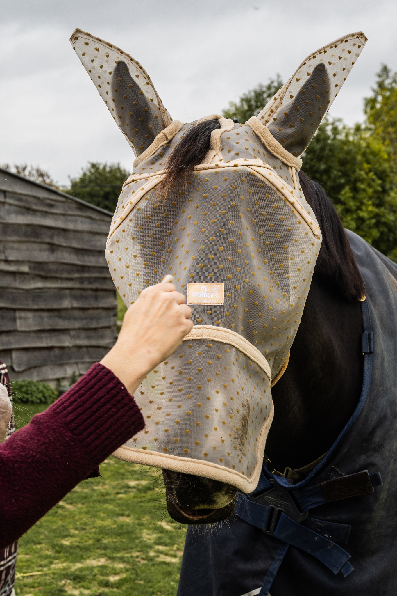 ffd04237eb716a510cec43e4c88c405b0e6f754ccd8367b017709061ba5d638b