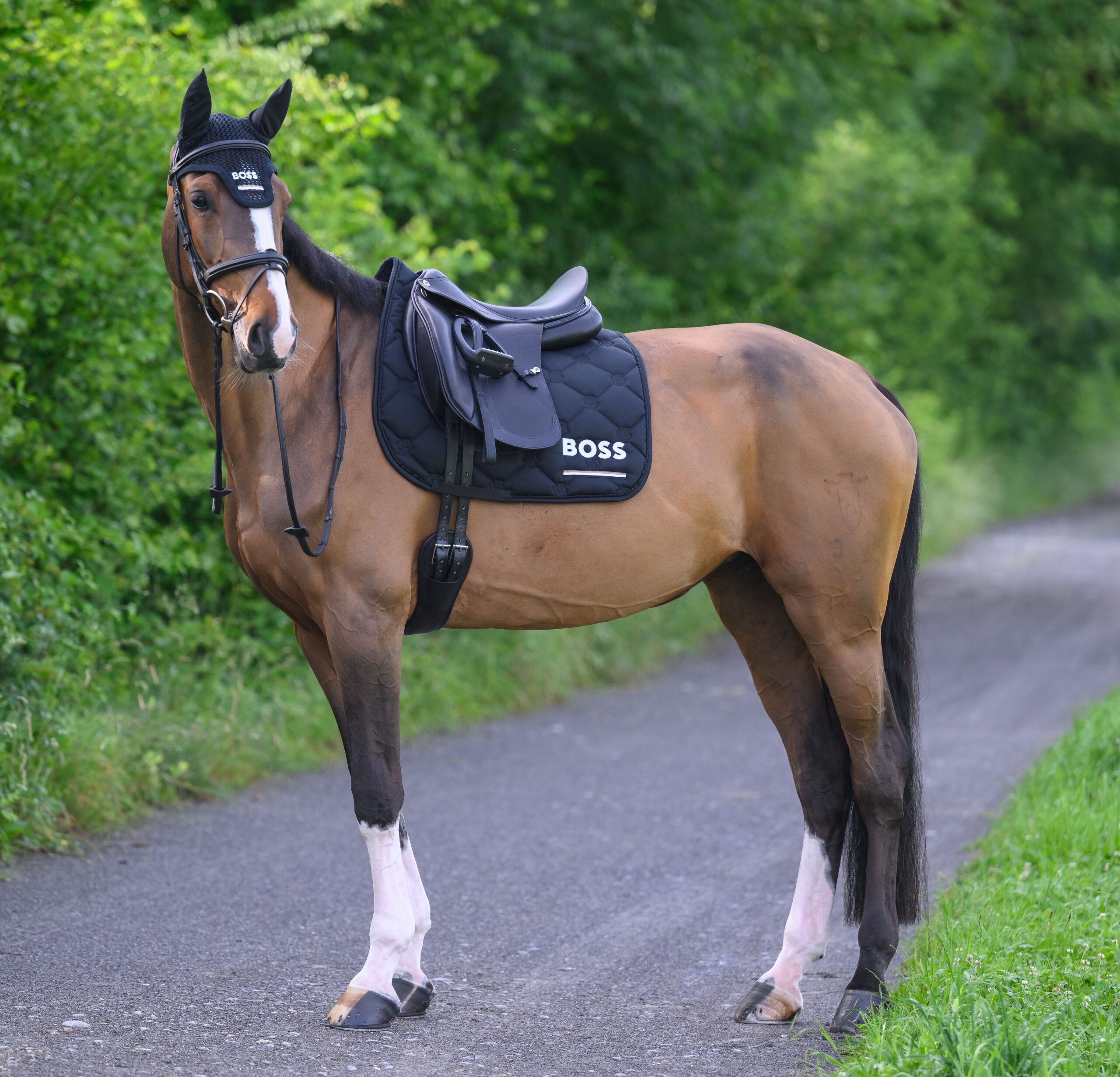 b7h0702-001_01.jpg_master_1