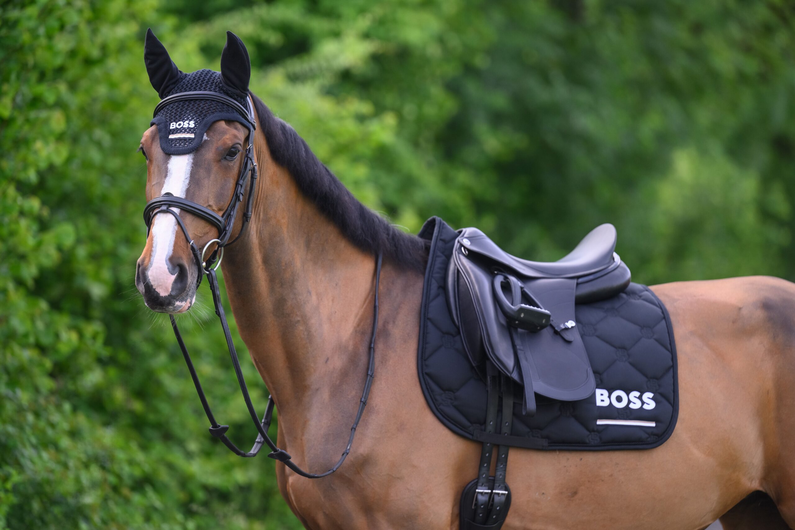 b7h0702-001_02.jpg_master_1_1