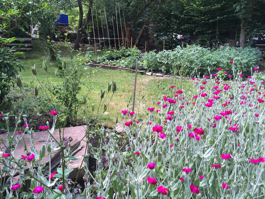 Garten_Graben18_Rottweil_spreadmind