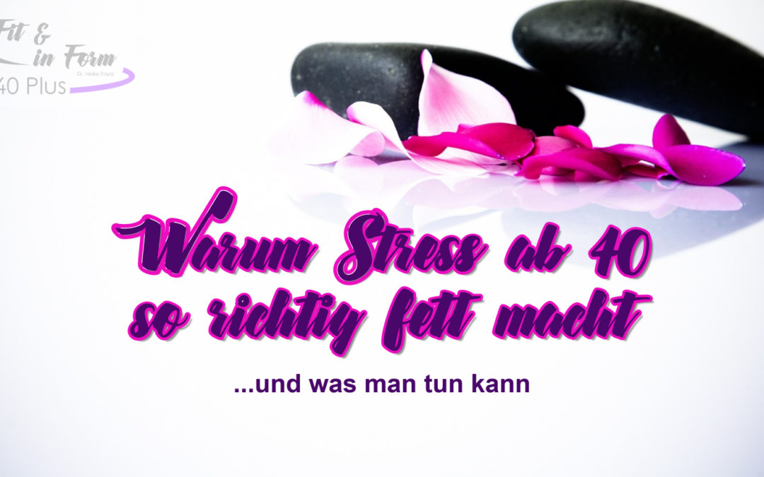 Stress macht fett – und ab 40 macht er doppelt fett