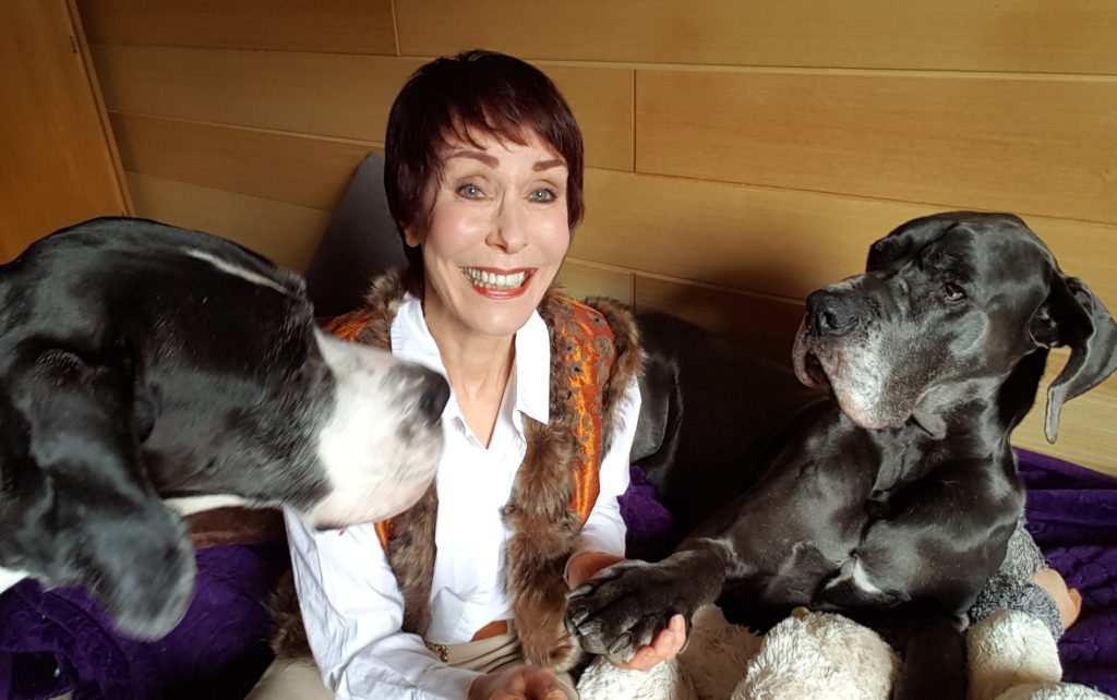 Langfristig denken - die Hunde helfen dabei