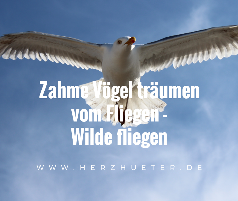 die Urwunde 2.0
