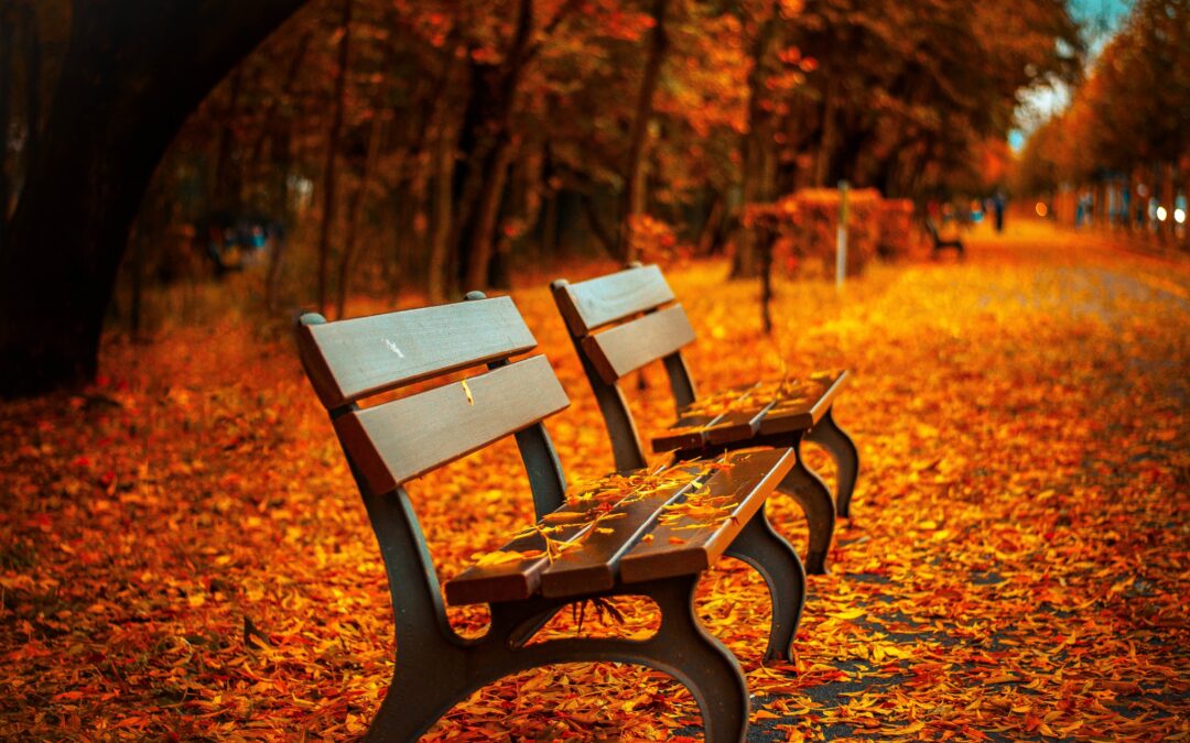 Entdecke die Farbe im tristen November?