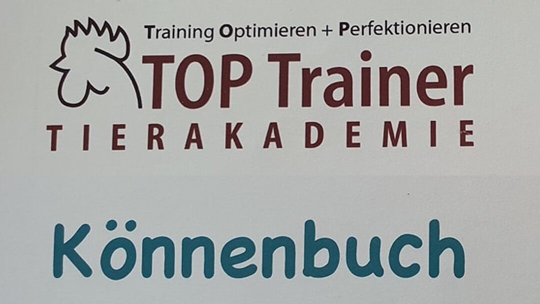Wer trainiert den Hundetrainer eigentlich? Das TOP-Trainer-Netzwerk und seine immense Bedeutung für mich!