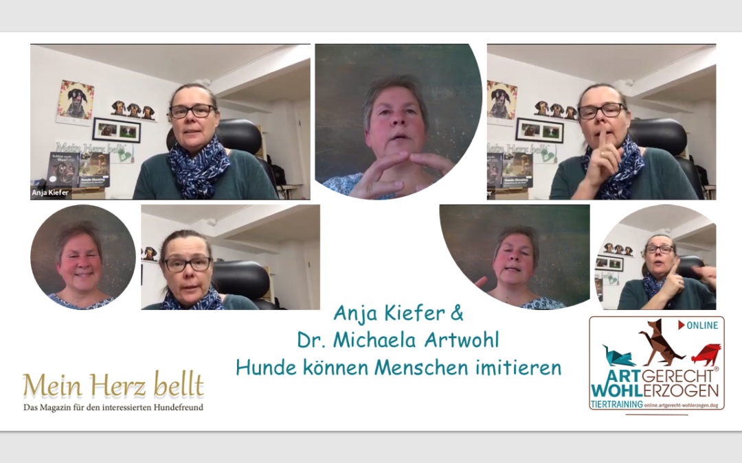 Video Interview mit Anja Kiefer vom Magazin “Mein Herz bellt”