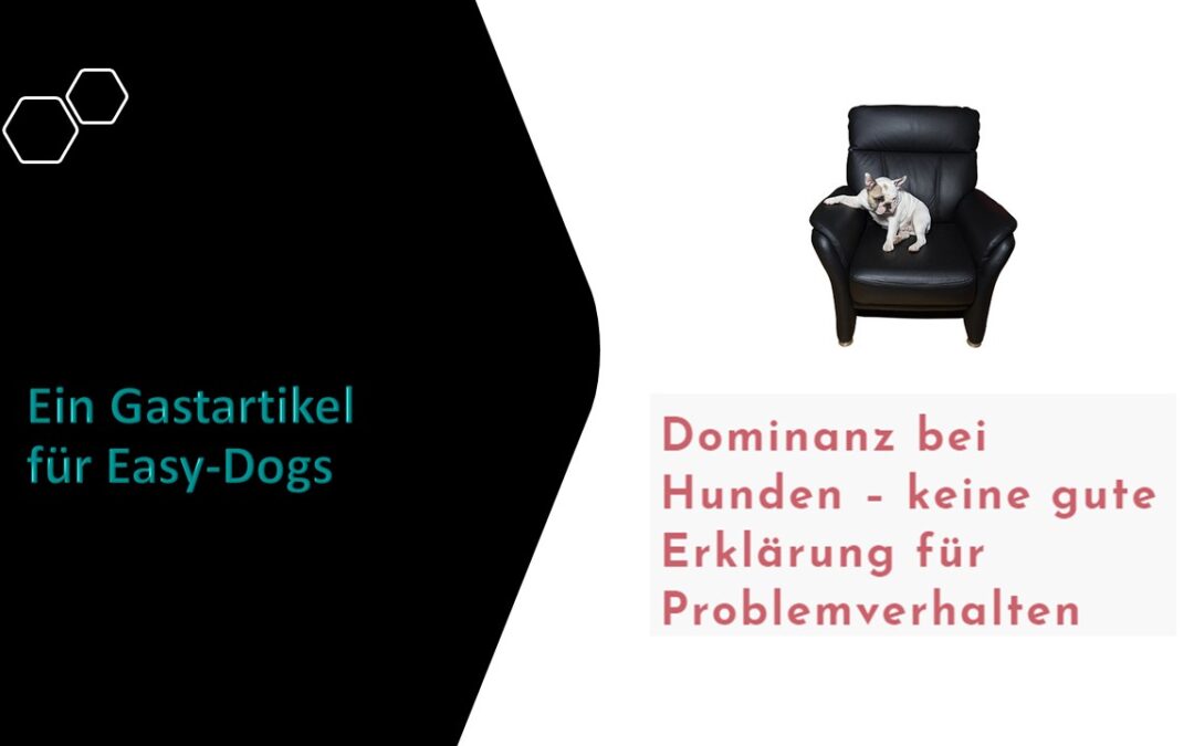 Dominanz bei Hunden – keine gute Erklärung für Problemverhalten