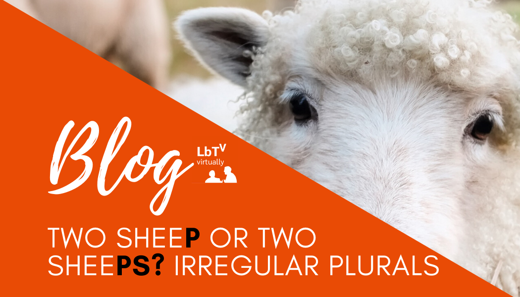 Irregular Plurals