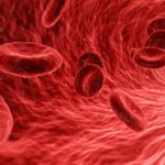 Hirn und Herz im Alter gesund