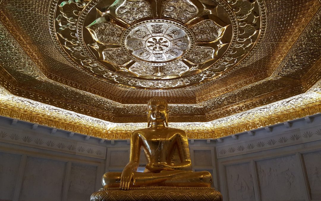 Das meditierende Gehirn + eine kleine Meditationsanleitung