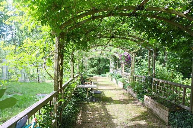 pergola-94560_640