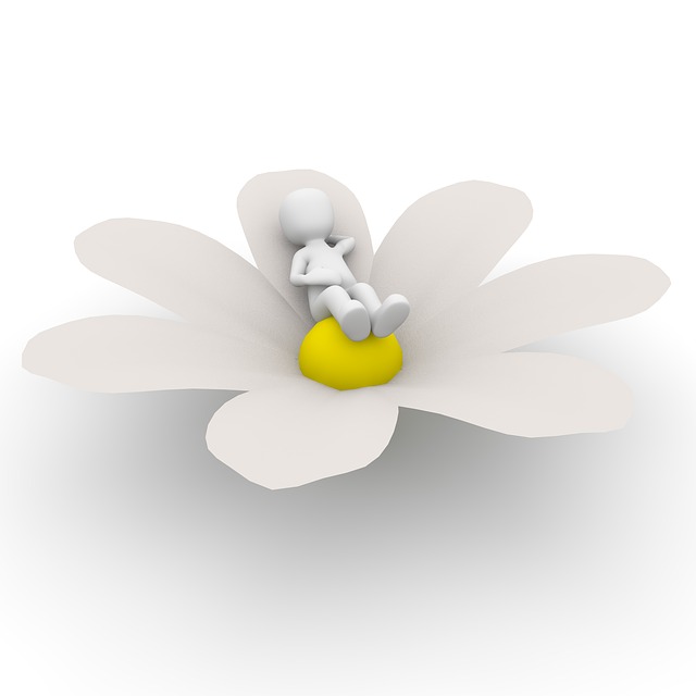 @entspannungsblume