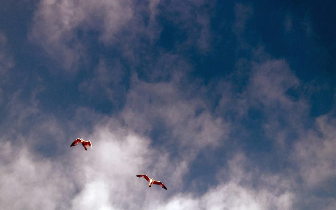 Gedanken abschalten und Loslassen im Urlaub 15: Dankbarkeit entwickeln