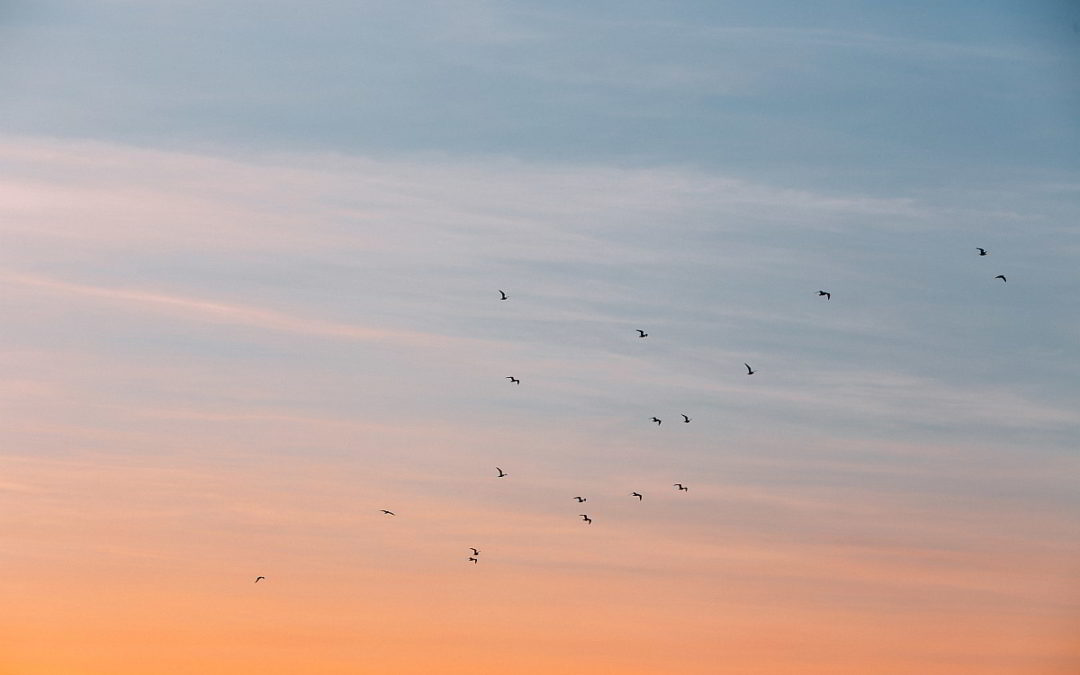 Gedanken abschalten: 16 Übungen für Gedanken-Urlaub