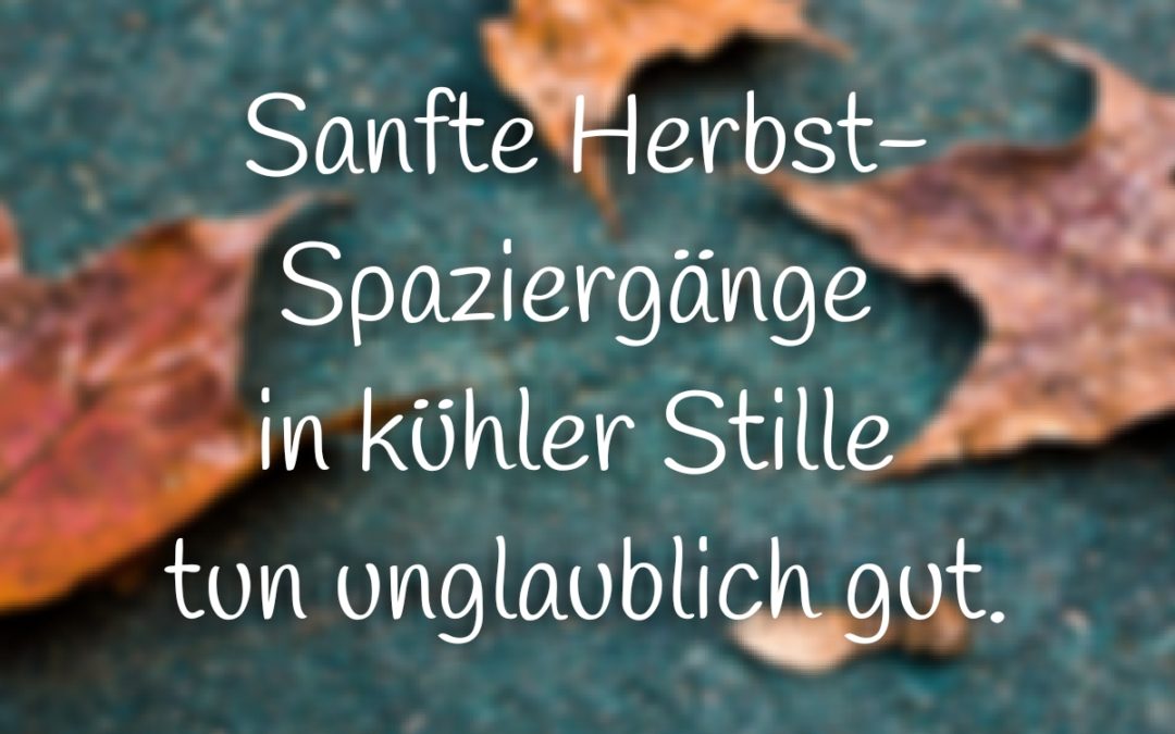Meditativer Spaziergang: Sanfte Spaziergänge in kühler Stille tun unglaublich gut