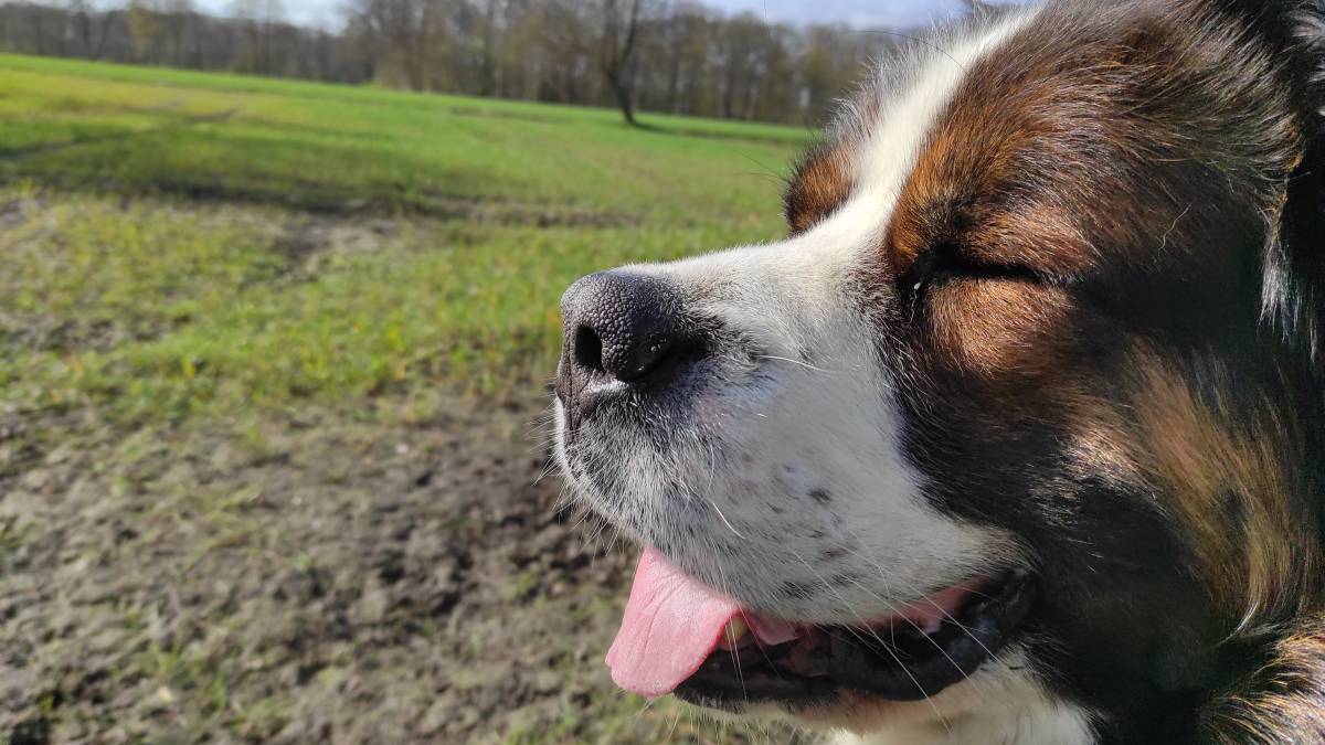 Anspannung kommt von Gefühlen