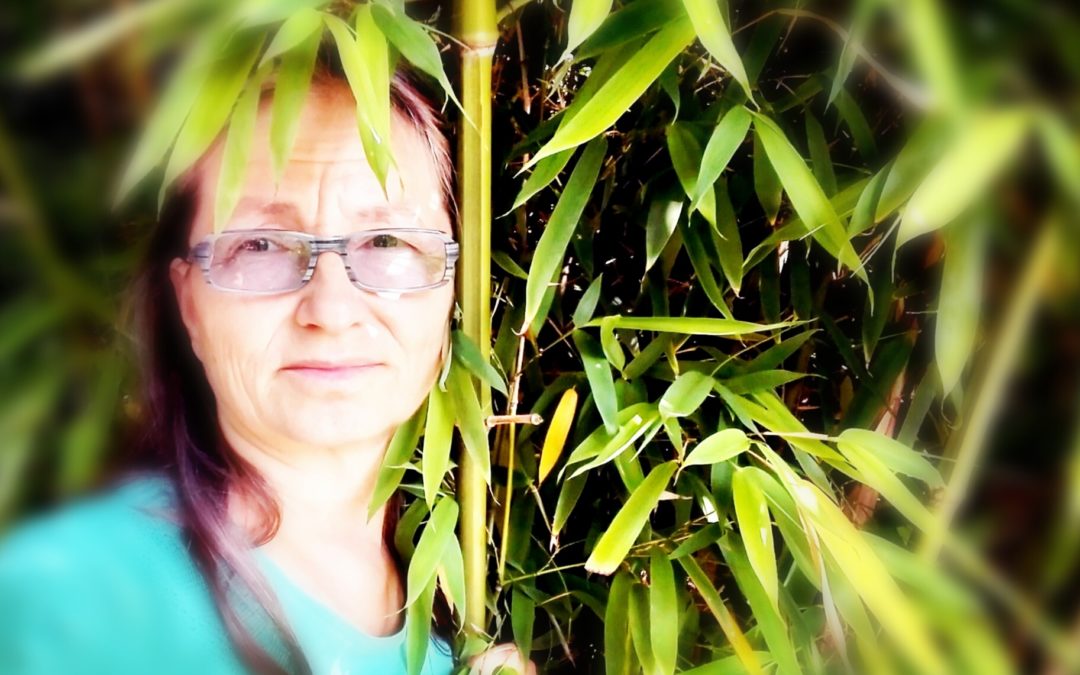 Zufriedenheit #7: Meditationen für die Lösung von Problemen
