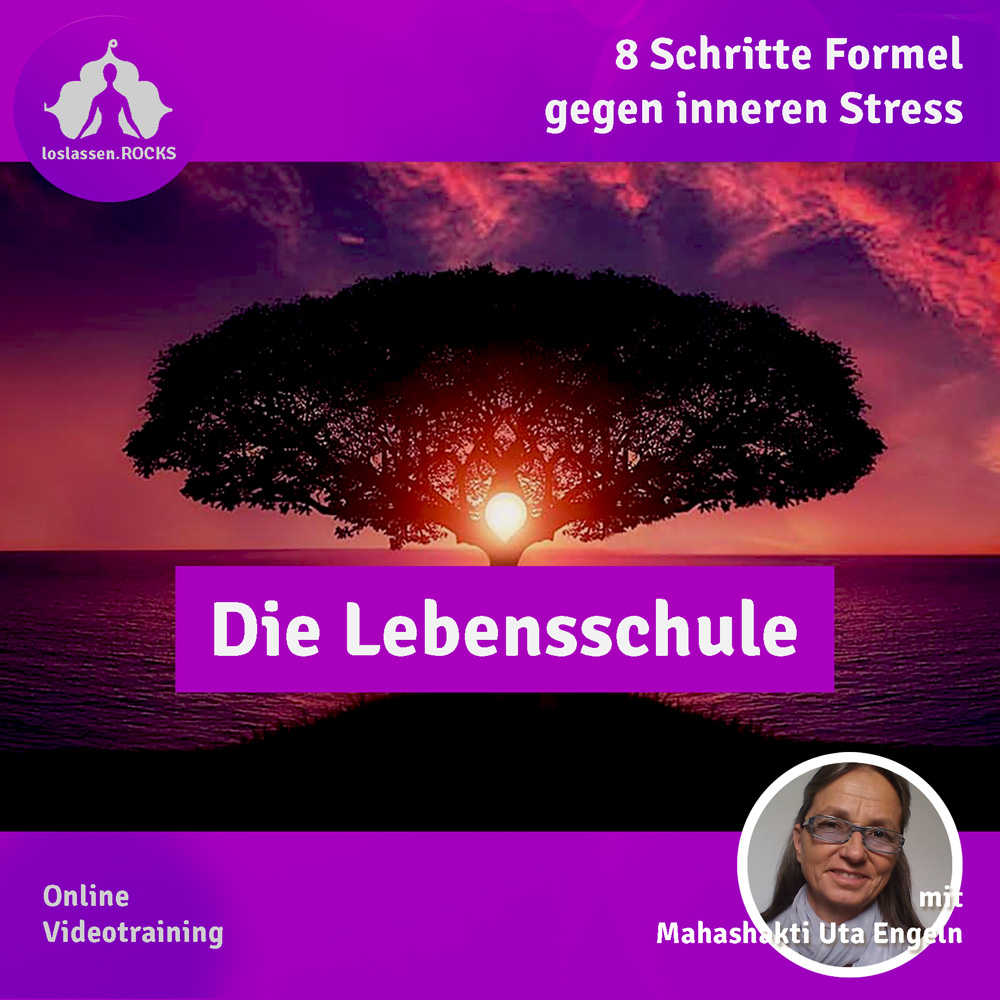 Die Lebensschule - Online-Video-Kurs
