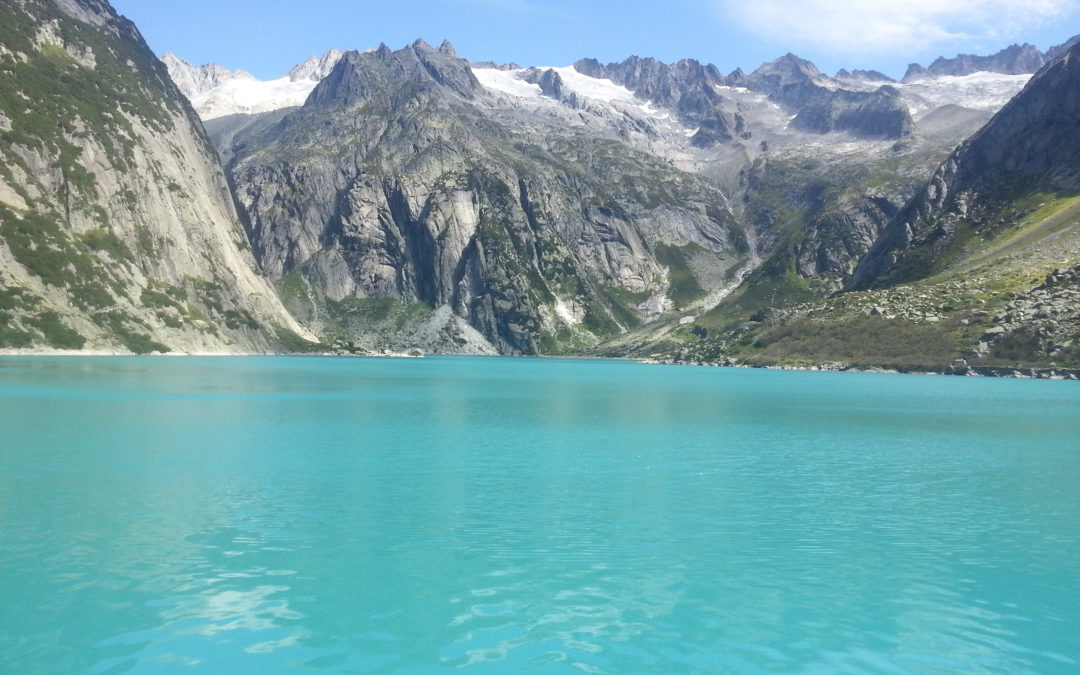 Wasser ist Leben