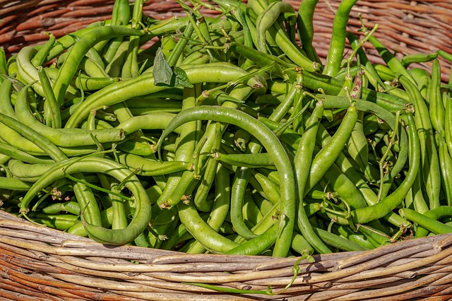 Warum sind grüne Bohnen ungesund?