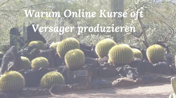 Warum Online Kurse oft Versager produzieren