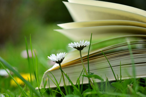 EASE YOUR LIFE - Ihr Kostenloser Rundgang durch die Good-Life-Online-Akademie EASE YOUR LIFE - Ihr Kostenloser Rundgang durch die Good-Life-Online-Akademie