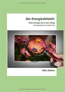 Der Energiedetektiv - Das Arbeitshfeft zum Onlne-Kurs Der Energiedetektiv - Das Arbeitshfeft zum Onlne-Kurs