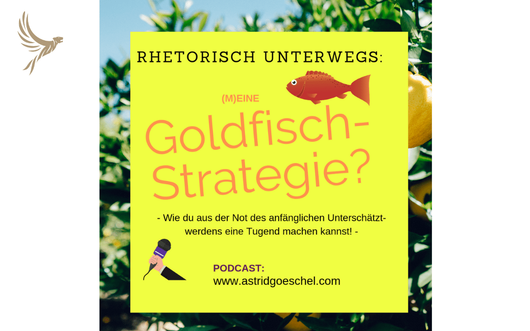 #Folge 44 – Warum du Vorteile hast, wenn du unterschätzt wirst. Die Goldfisch-Strategie!