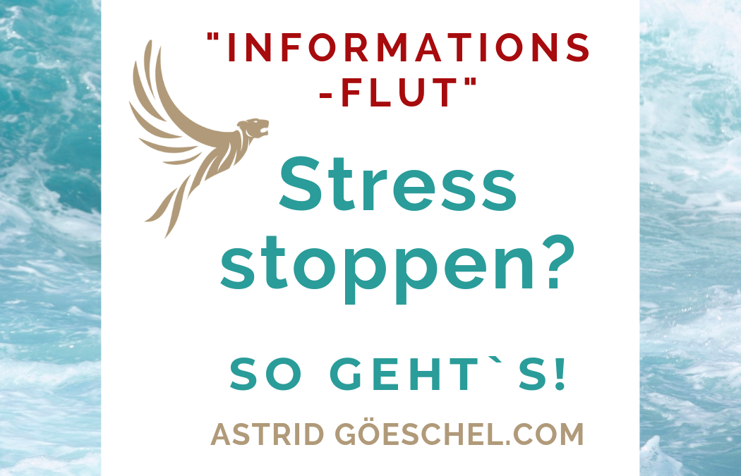 # Folge 51 – Stress stoppen? So gehts!