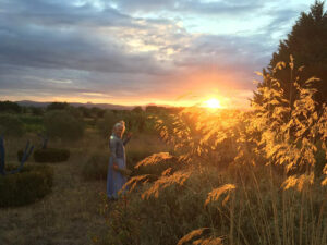 Shivani Vogt beim Sonnenuntergang, Lavendel sammeln