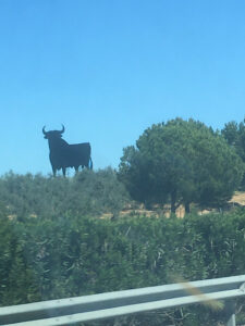 Wahrzeichen von Spanien, Stier