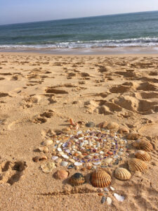 Muschelmandala