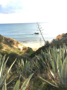 Unser Blick aufs Meer
