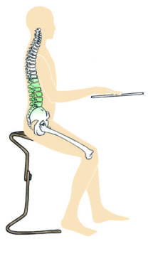 Benefici Seduta Posturale Ergonomica Ercolino