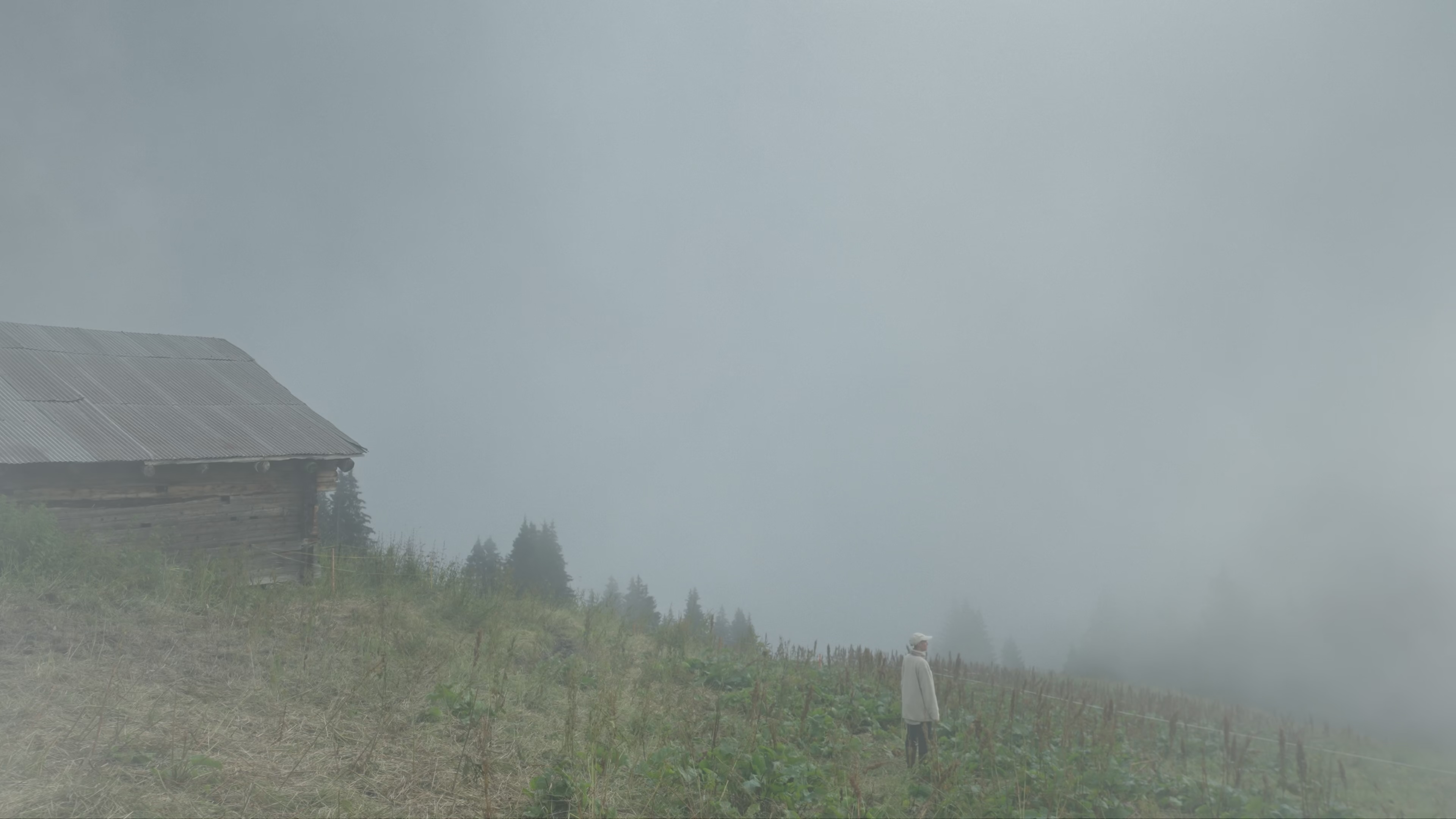 Slider image 1