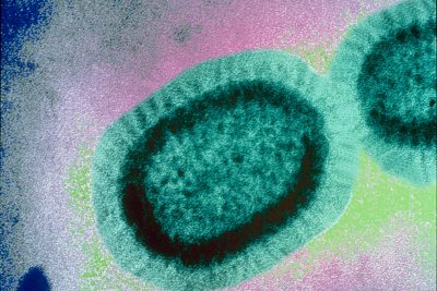 Influenssavirus