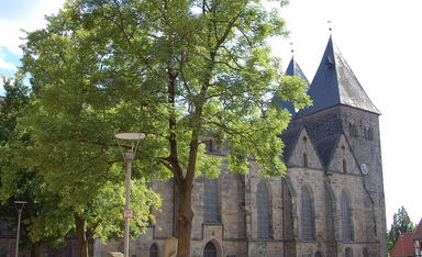 Single obernkirchen
