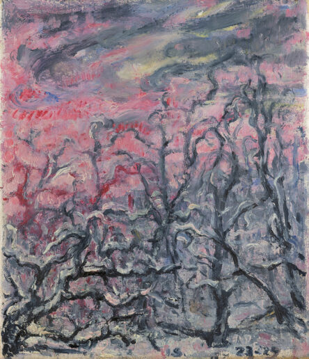 Zimní krajina se sněhem