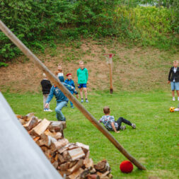1 IMG (225)