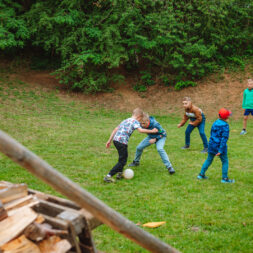 1 IMG (226)