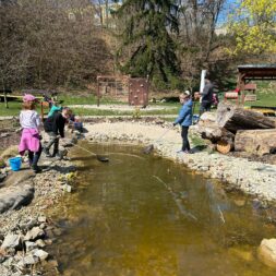 672676314_1541134031349076_5004408257225409513_n