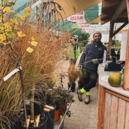 IMG 20251109 112512 843