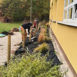 IMG 20251109 112512 998