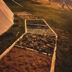 IMG 20251109 112513 183