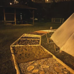 IMG 20251109 112513 202